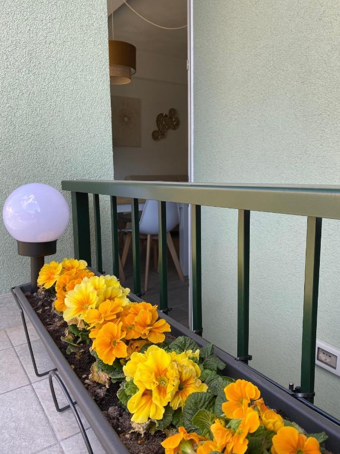 סונדריו Valtellina Vacanze מראה חיצוני תמונה